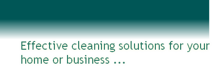 Effective cleaning solutions for your 
home or business ... 